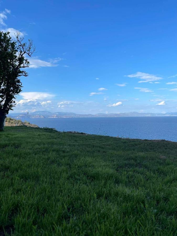 Villa Castle Sea View Parálion Ástros Extérieur photo